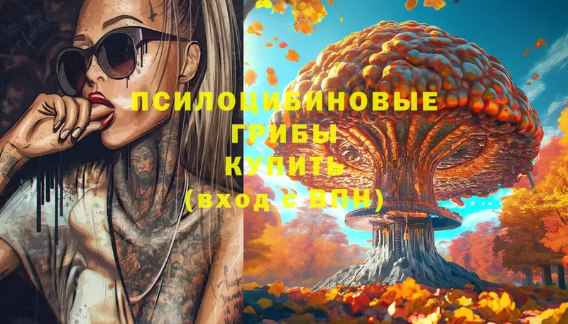 Псилоцибиновые грибы Cubensis  kraken как зайти  Ишимбай 